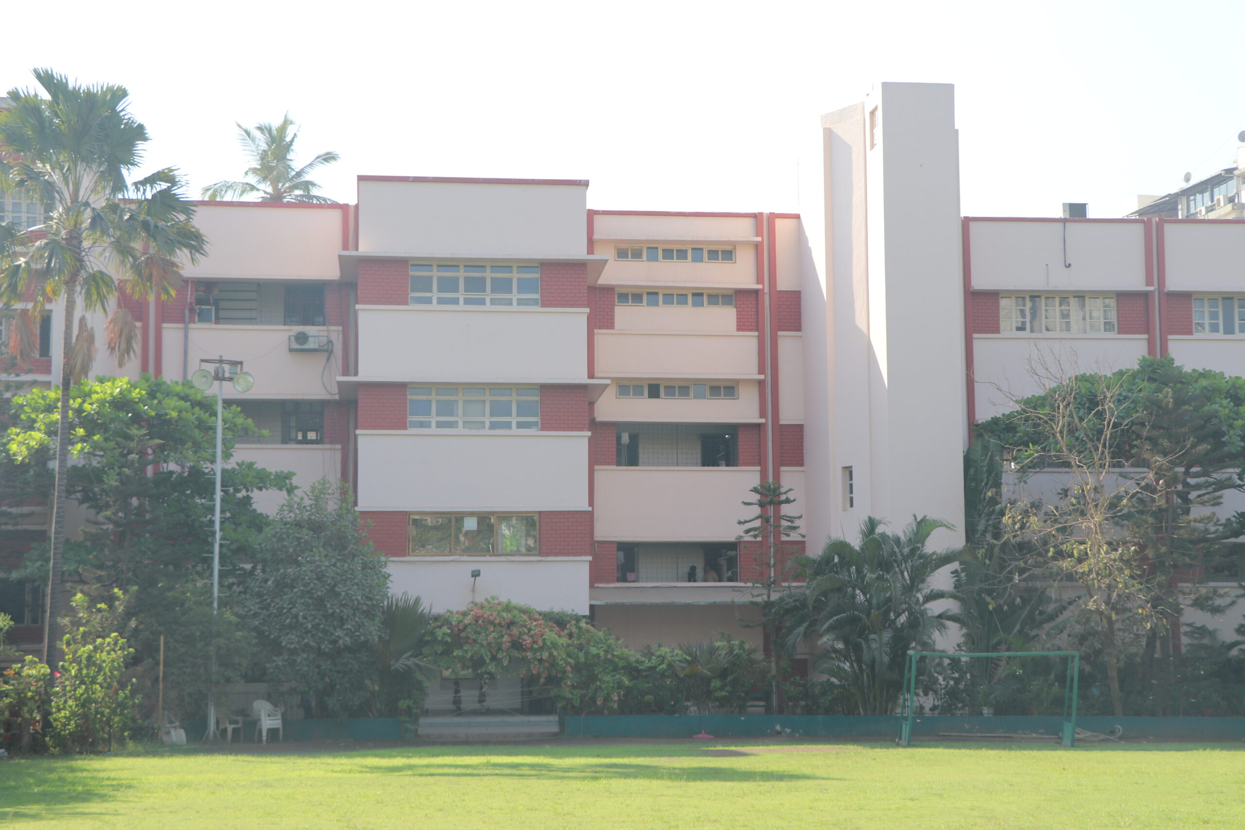 undergraduate education