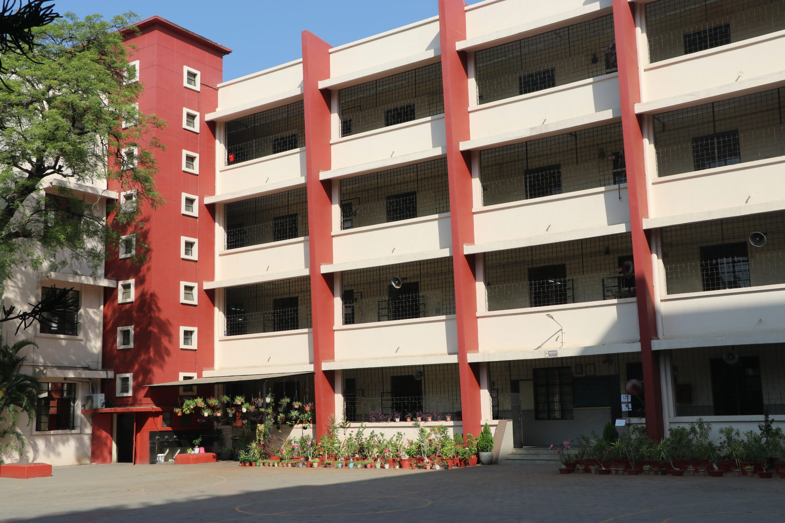 undergraduate education