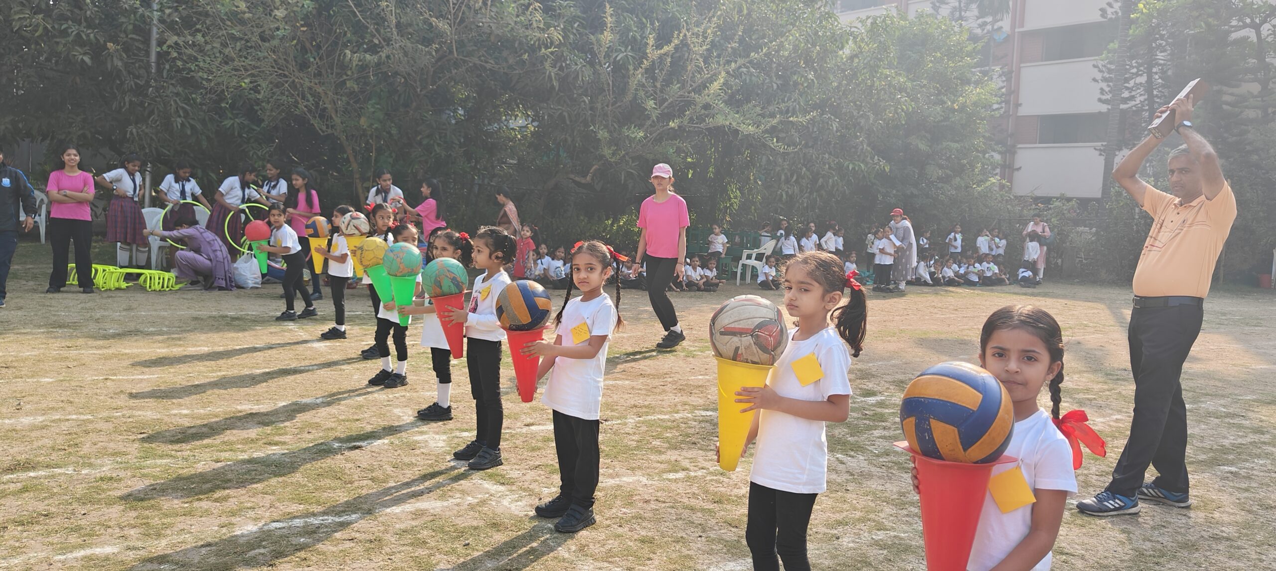 undergraduate education