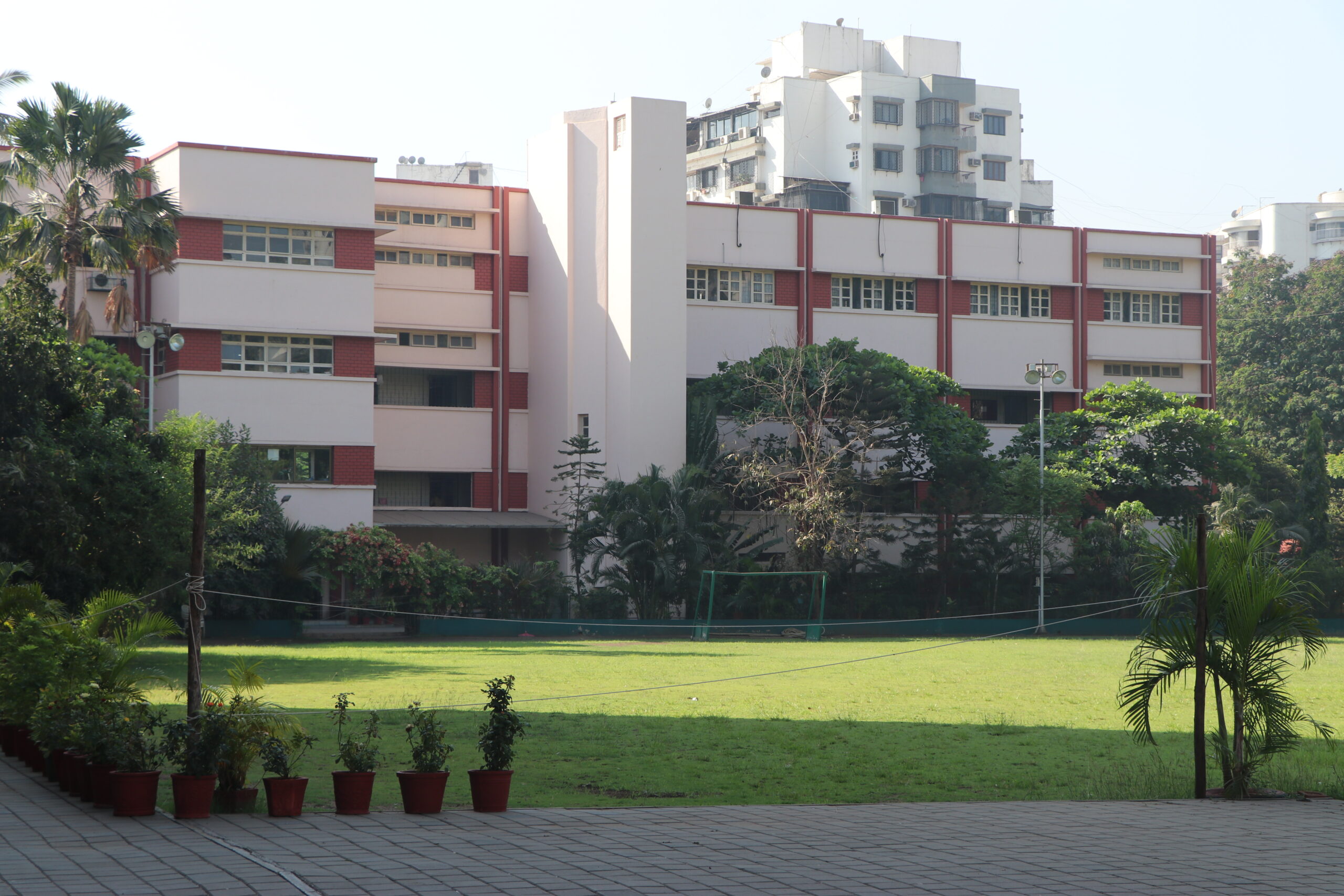 undergraduate education