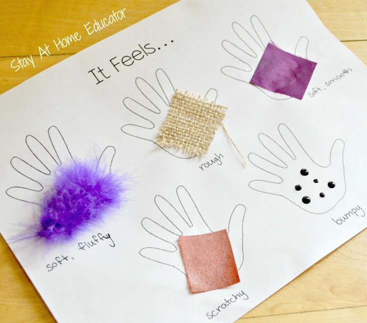 SENSORY ACTIVITY